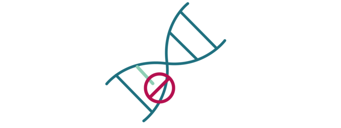 Zu sehen ist ein Stück einer DNS, auf der ein roter Strich eingezeichnet ist. Zu sehen ist ein Stück einer DNS, auf der ein roter Strich eingezeichnet ist.