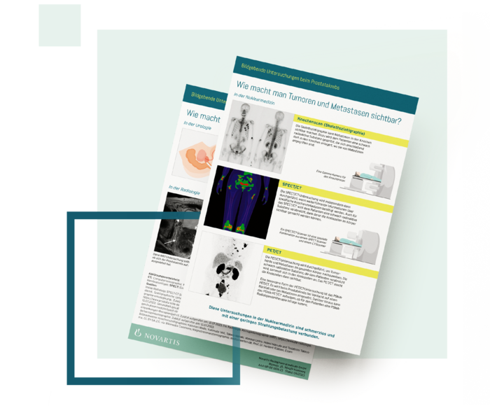 Gezeigt ist eine Miniaturansicht des Infoblatts. Gezeigt ist eine Miniaturansicht des Infoblatts.
