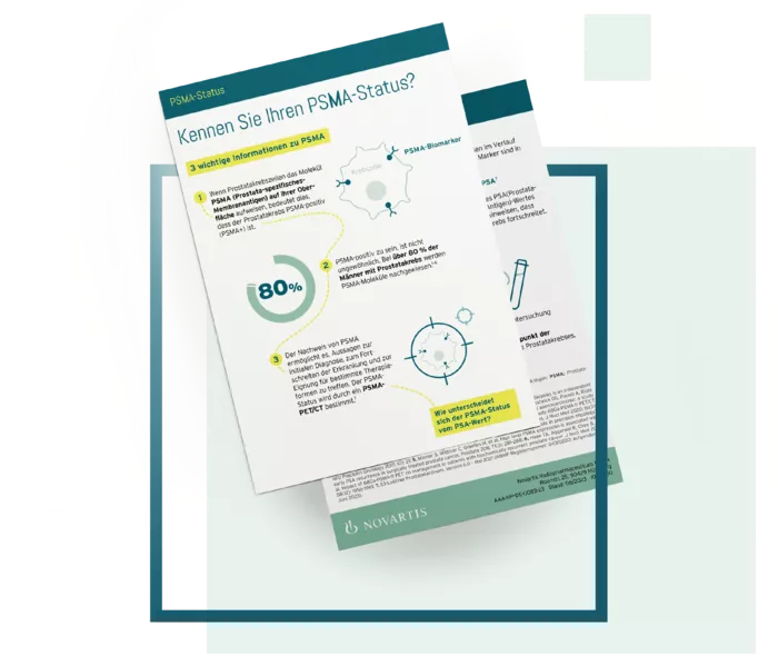 Gezeigt ist eine Miniaturansicht des Infoblatts.