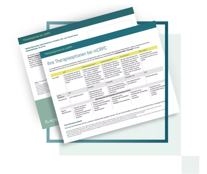 Gezeigt ist eine Miniaturansicht des Infoblatts.