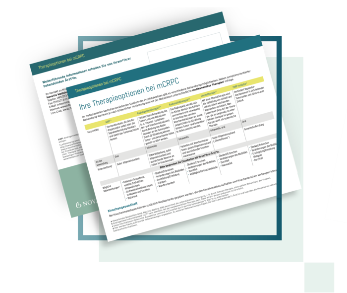 Gezeigt ist eine Miniaturansicht des Infoblatts.