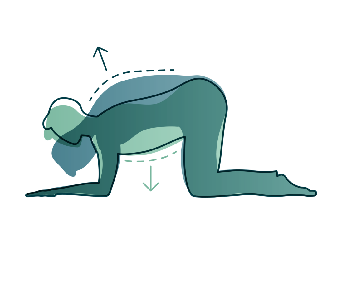 Mit Beckenbodentraining die Kontinenz stärken.