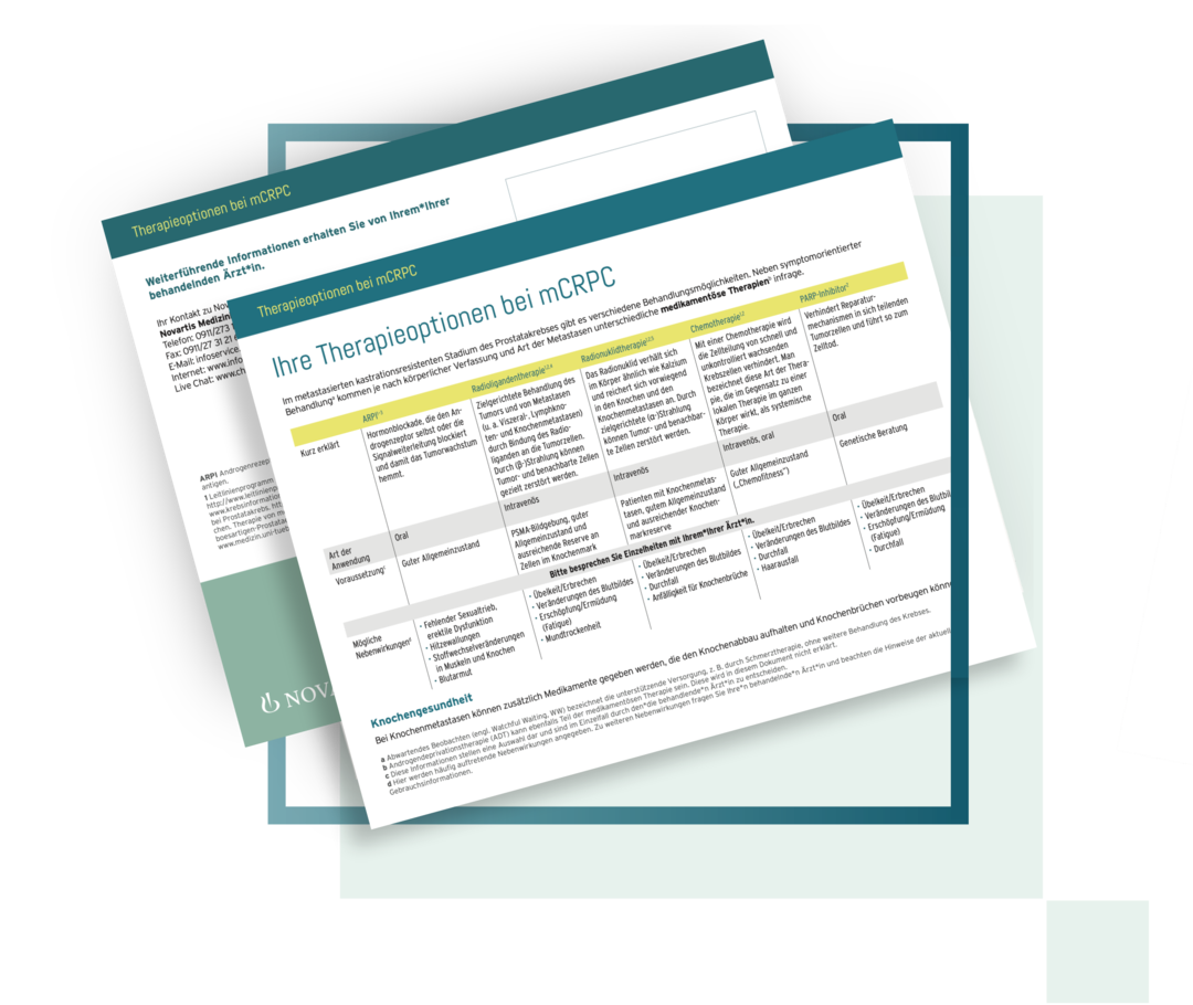 Gezeigt ist eine Miniaturansicht des Infoblatts.