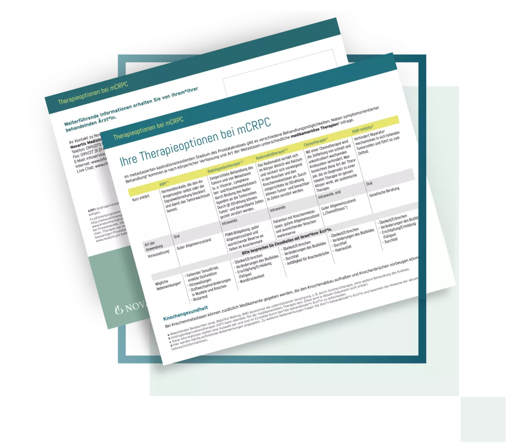 Gezeigt ist eine Miniaturansicht des Infoblatts.